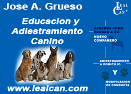 Lealcan Adiestramiento