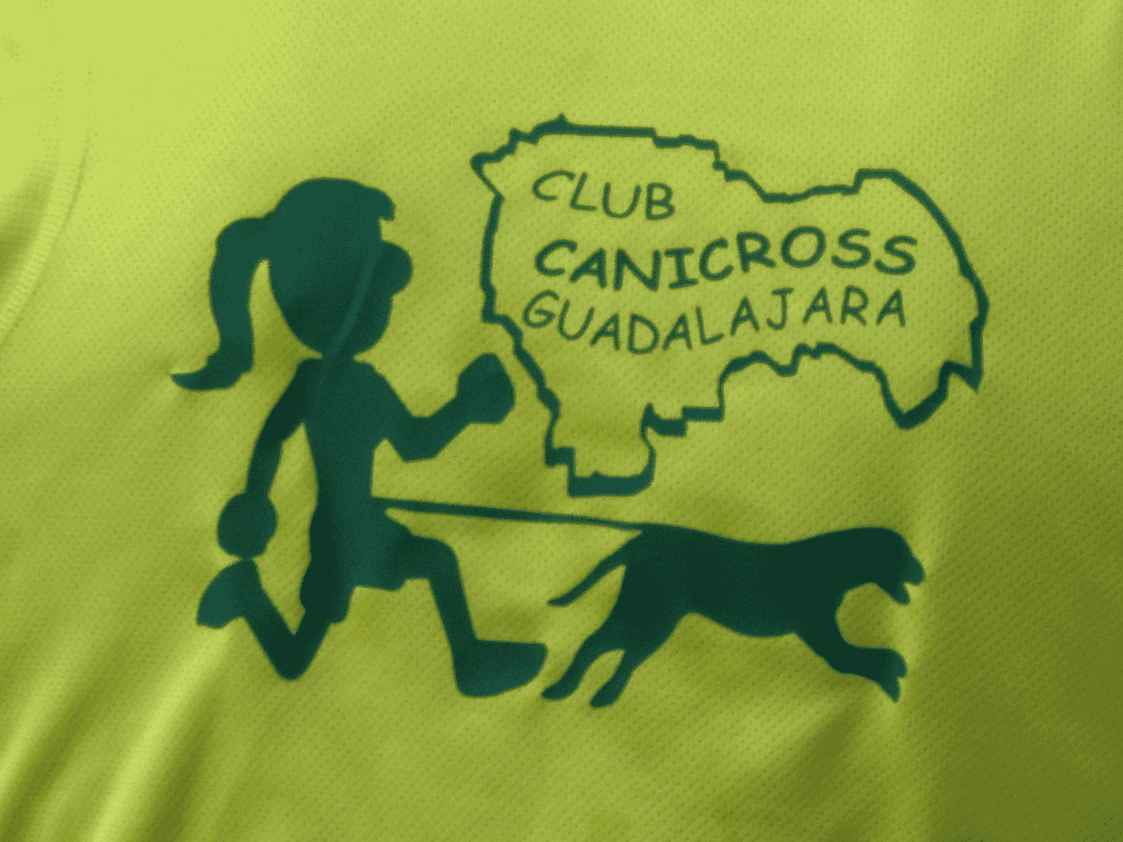 Logo en Camiseta